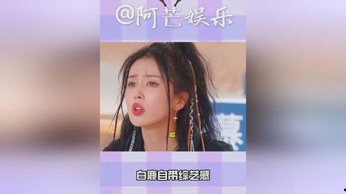 爆料白鹿综艺视频下载网站,独家资源一网打尽